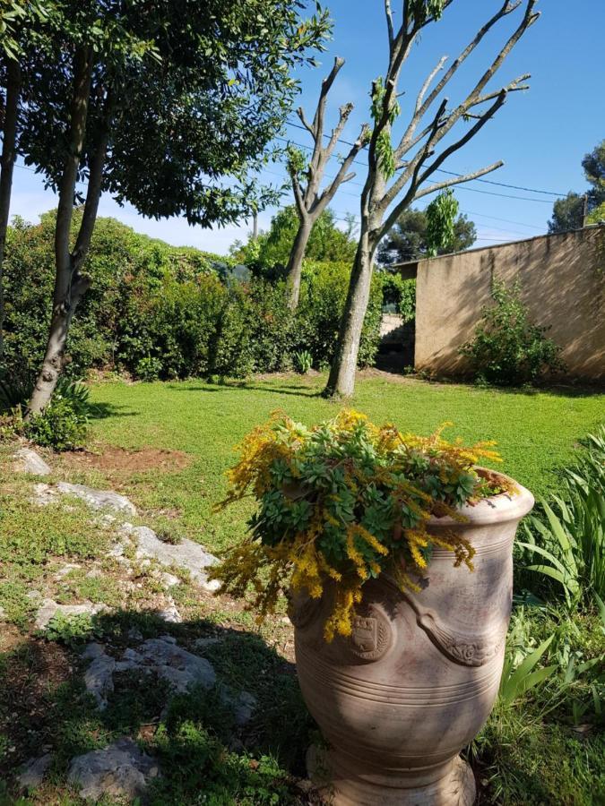 Cap Au Sud Sweet Home Nîmes Exterior foto