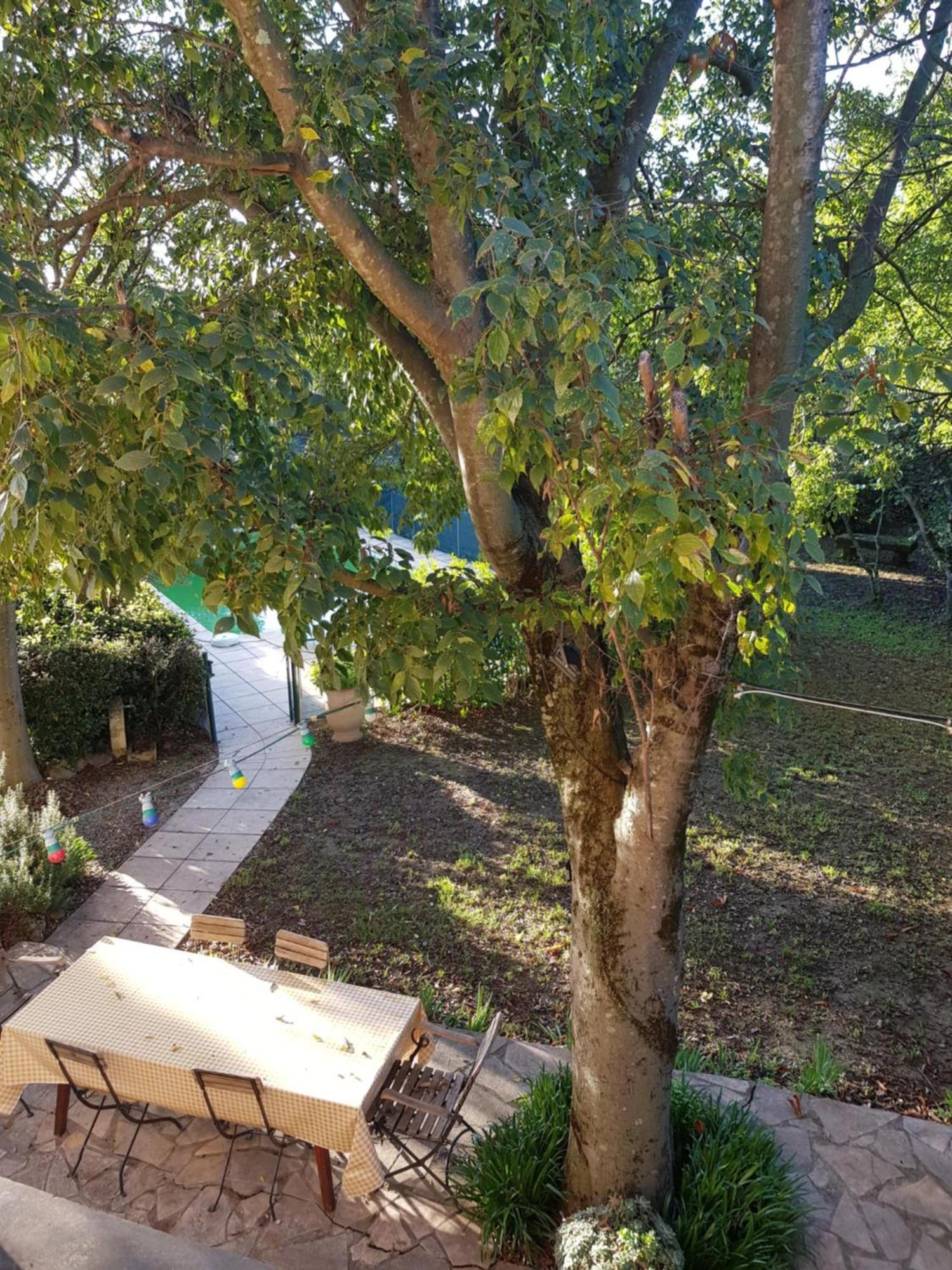 Cap Au Sud Sweet Home Nîmes Exterior foto